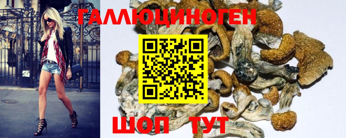 Псилоцибиновые грибы GOLDEN TEACHER Коряжма