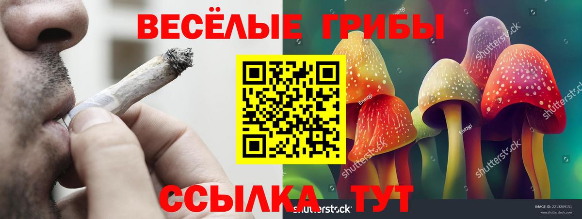 Коряжма  Галлюциногенные грибы мухоморы  Вход с VPN  Псилоцибиновые грибы мицелий 